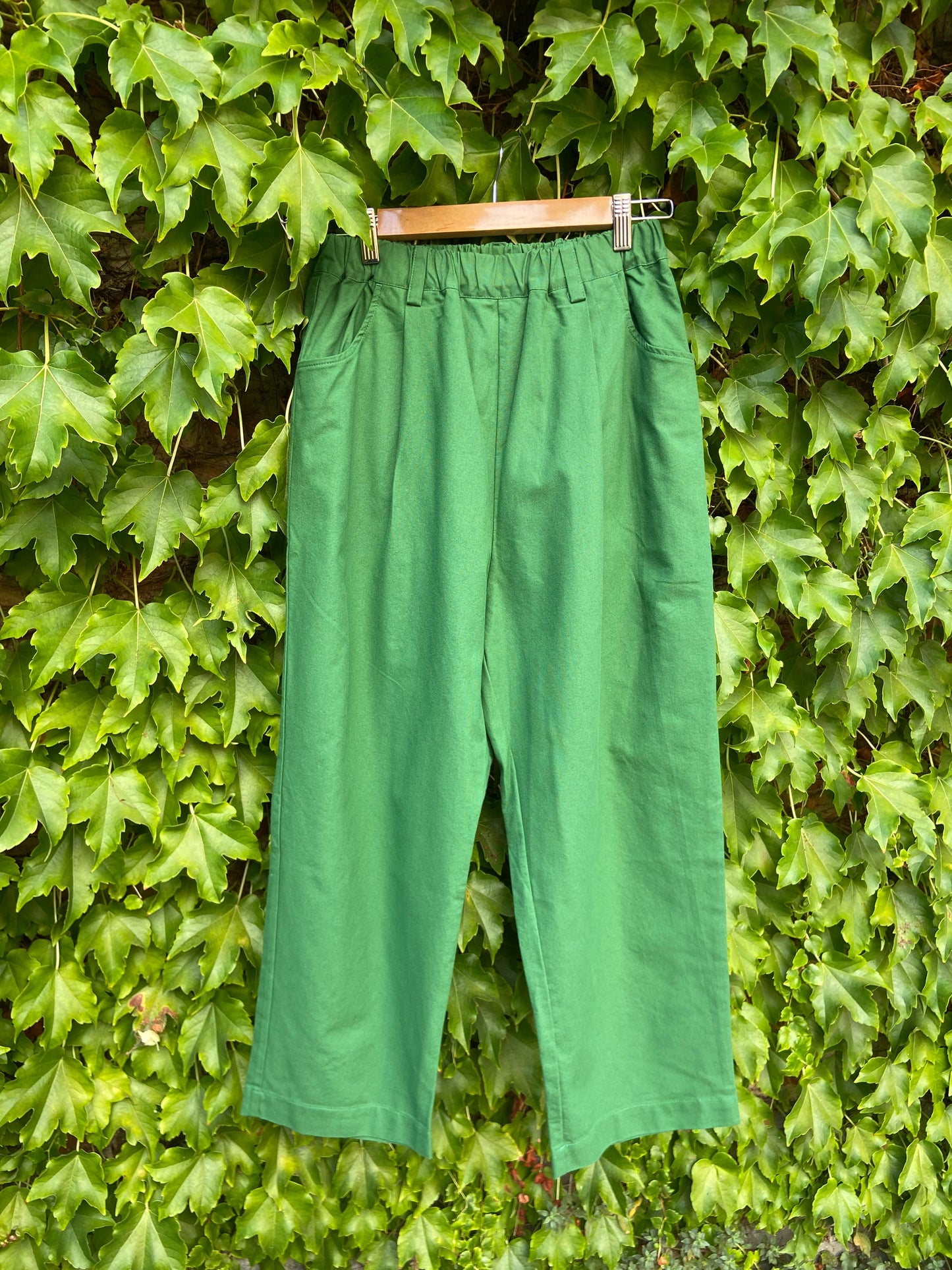 Premium Cotton Pants - Green